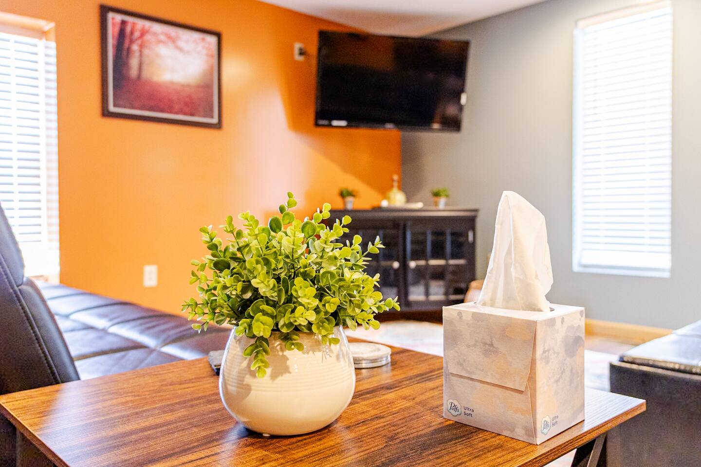 A look around Executive Apartment B, one of the European-style apartment stays guests book for a farm weekend in the Tennessee foothills near the Smokies.